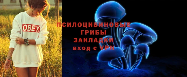 прущий лед Алзамай