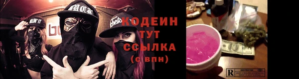 прущий лед Алзамай