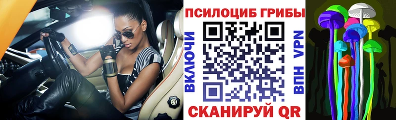 blacksprut онион как найти Аксай Псилоцибиновые грибы мицелий