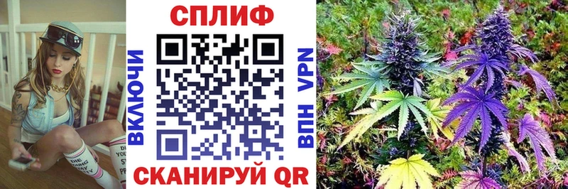 где найти наркотики MEGA ССЫЛКА Бошки марихуана семена Аксай
